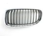 Front grill 