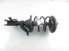 Front shock absorber with coil spring 