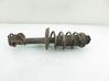 Front shock absorber with coil spring 