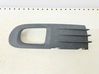 Front fog light trim/grill 
