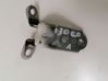 Rear door lower hinge 