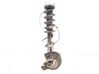 Front wheel hub spindle knuckle 