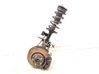 Front wheel hub spindle knuckle 