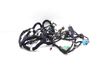 Engine installation wiring loom 06700336890