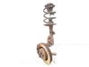 Front wheel hub spindle knuckle 
