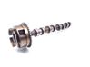 Camshaft 55562225