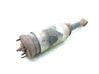 Air suspension front shock absorber RNB501620