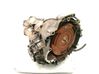 Automatic gearbox HHL