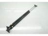 Tailgate/trunk strut/damper 