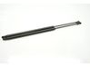 Tailgate/trunk strut/damper 