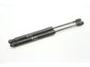 Tailgate/trunk strut/damper 817701H521