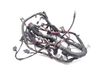 Engine installation wiring loom P38083213