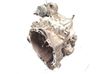 Automatikgetriebe A4513700501