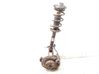 Front wheel hub spindle knuckle 