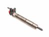 Fuel injector 7797877