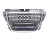 Oberes Gitter vorne 8P0853651M
