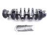 Crankshaft T1DA