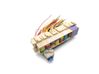 Fuse module 240189004R
