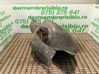 Rear mudguard 