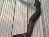 Engine coolant pipe/hose 8W0145050A