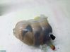 Coolant expansion tank/reservoir 