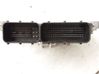 Unidad de control/módulo de la inyección 391302A400