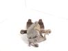 Rear brake caliper 2571515