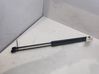 Tailgate/trunk strut/damper 2130816