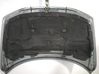 Motorhaube 8643019