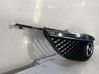 Front grill C10050710C