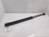 Tailgate/trunk strut/damper 13258179