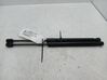 Tailgate/trunk strut/damper 904524666R