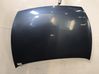 Engine bonnet/hood 1087913