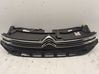 Front grill 98120634XT