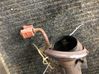 Catalyst/FAP/DPF particulate filter L1T15L230AE