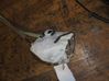 Central locking motor HF