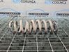 Rear coil spring 