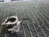 Vacuum pump 146505272R