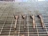 Fuel injector 0445110218