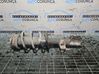 Amortiguador delantero con muelle espiral 546503U550