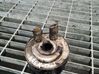 Engine oil radiator 