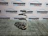 Rear coil spring 
