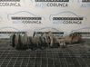 Front shock absorber with coil spring 