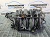 Intake manifold 171110R010