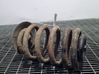 Rear coil spring 