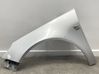 Fender 1698958580