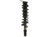 Amortiguador delantero con muelle espiral 543025FA0D