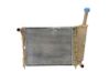 Dzesēšanas šķidruma radiators 879560300