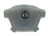 Steering wheel airbag 569002F010