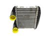 Intercooler radiator 0003007V005